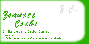 zsanett csibi business card